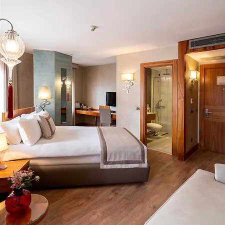 Hotel Biz Cevahir Sultanahmet Provincia di Istanbul