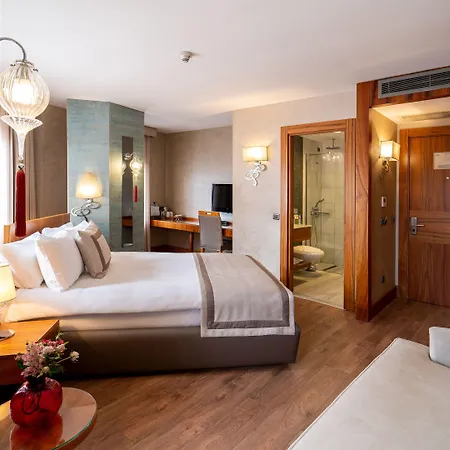 Biz Cevahir Sultanahmet 4* Provincia di Istanbul