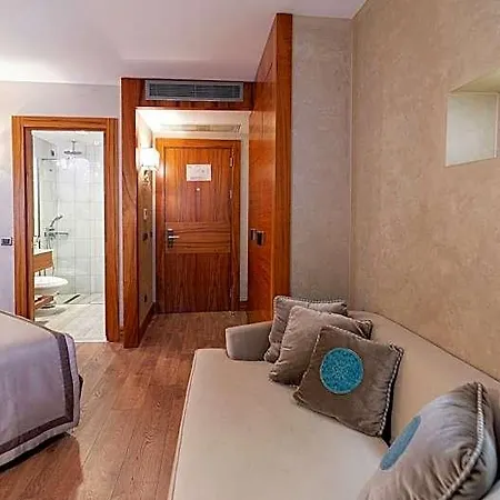 Biz Cevahir Sultanahmet Hotel 4*
