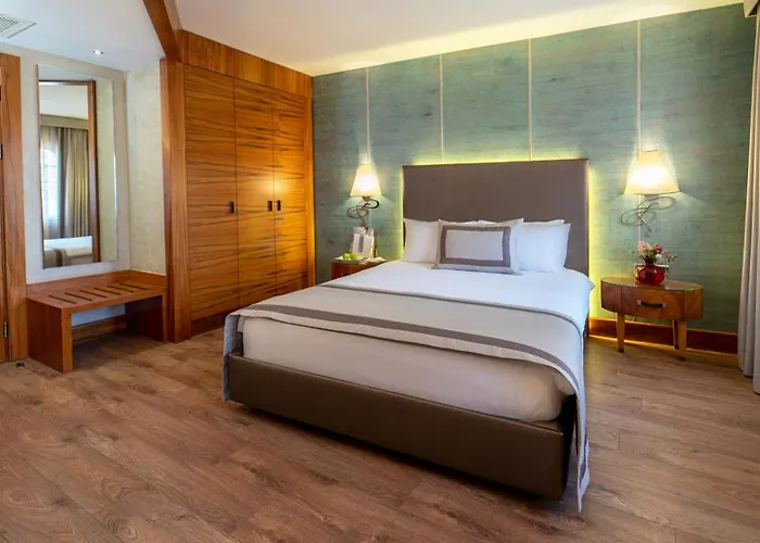 Отель Biz Cevahir Sultanahmet Стамбул