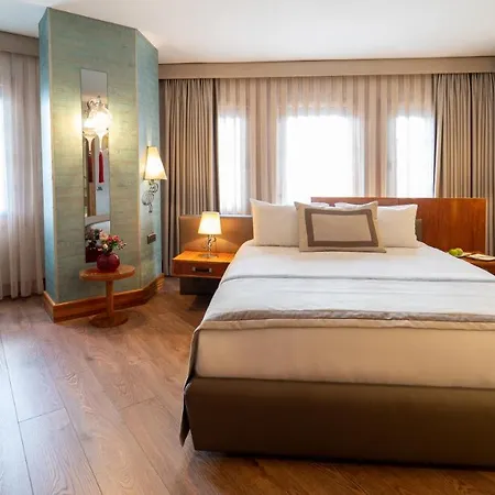 Biz Cevahir Sultanahmet Hotell 4*